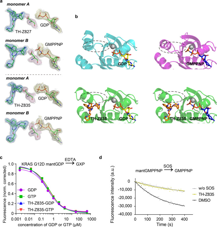 KRAS(G12D) can be targeted by potent inhibitors via formation of salt ...