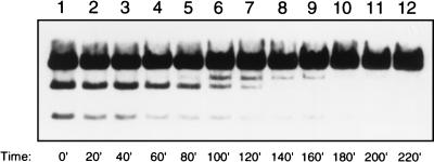 FIG. 6