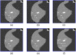 Fig. 4