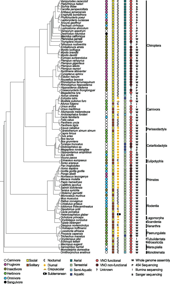 Fig. 6.