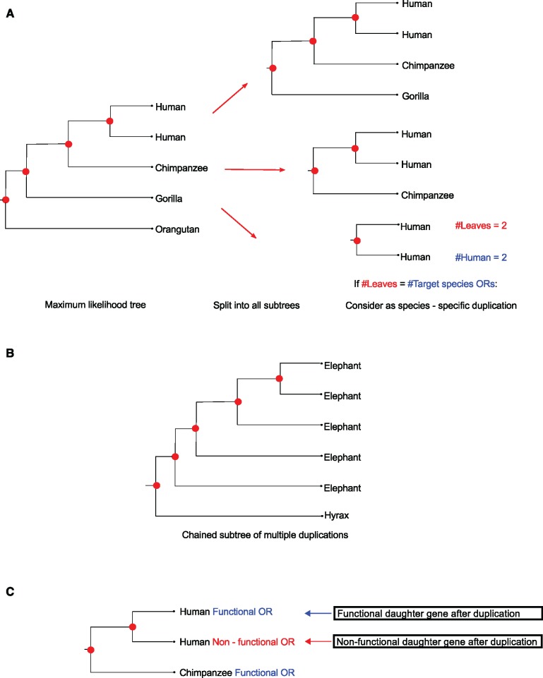 Fig. 2.