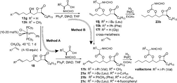 Scheme 6