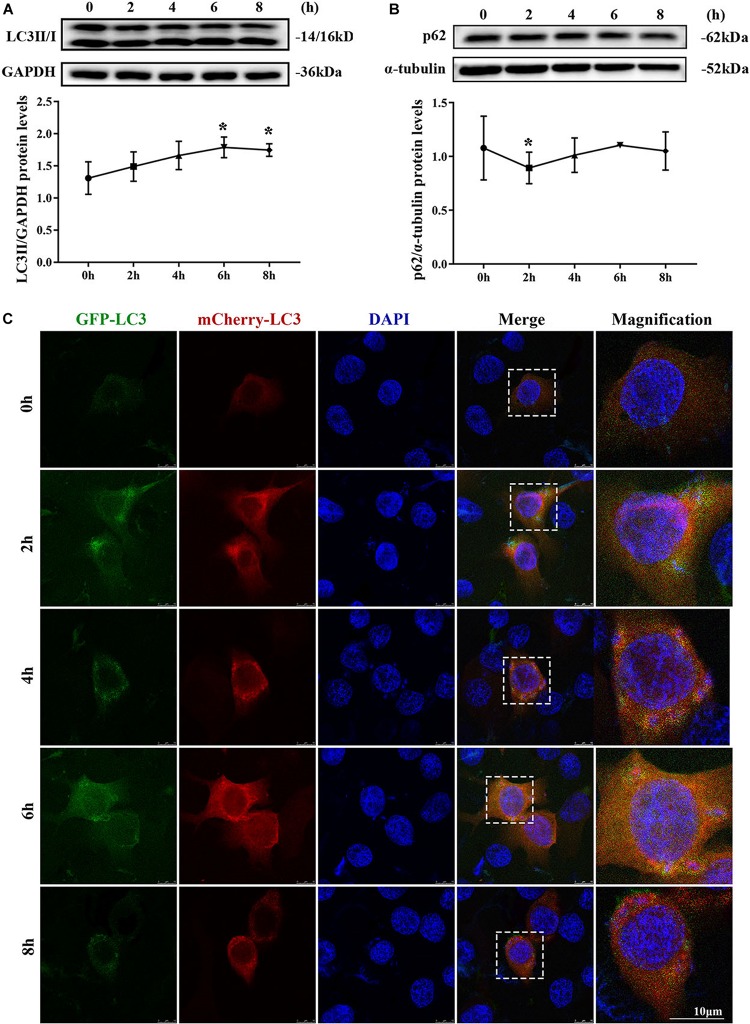 FIGURE 3