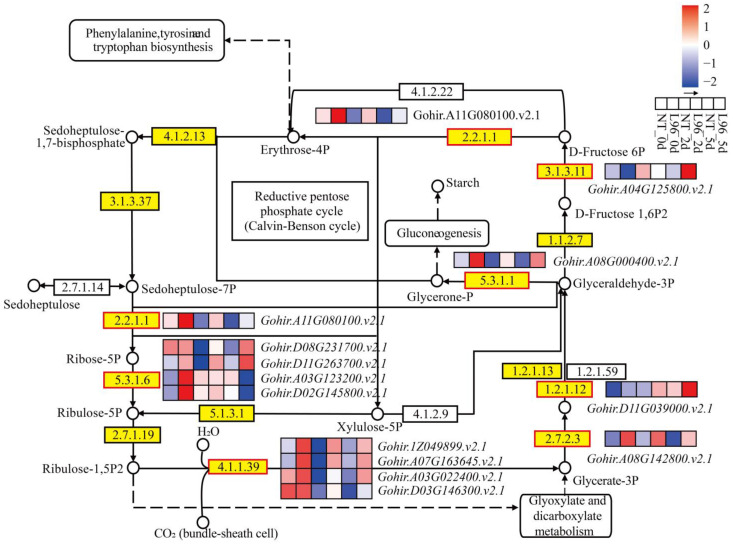 Figure 6