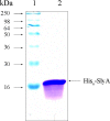 FIG. 6.