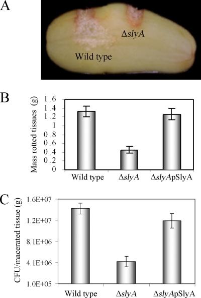 FIG. 1.