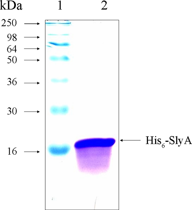 FIG. 6.