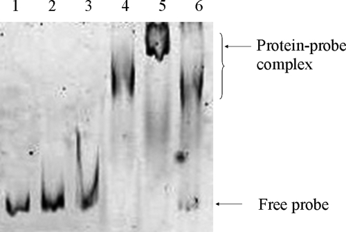 FIG. 7.