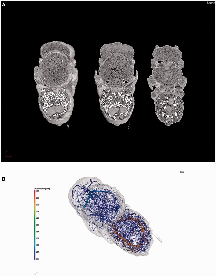 Fig. 2