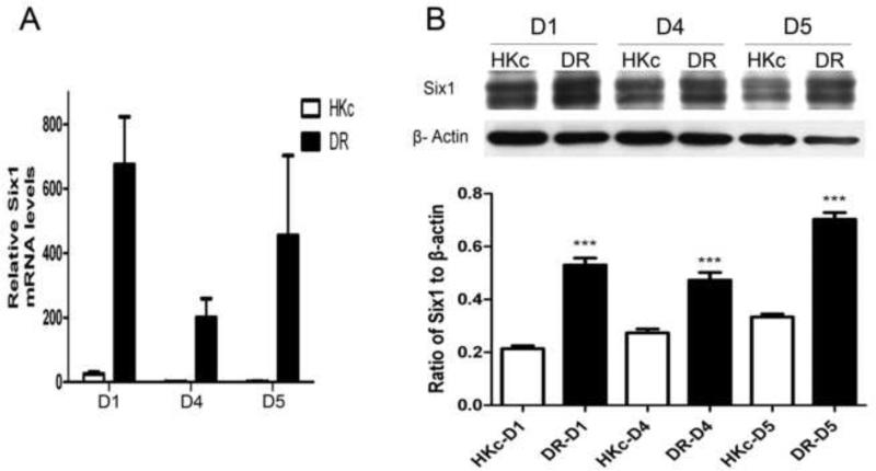 Fig.1