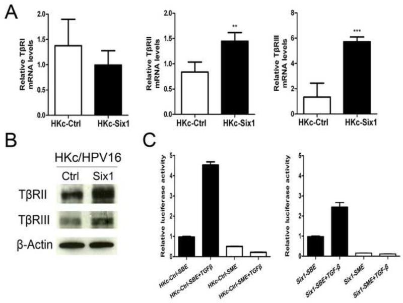 Fig.6