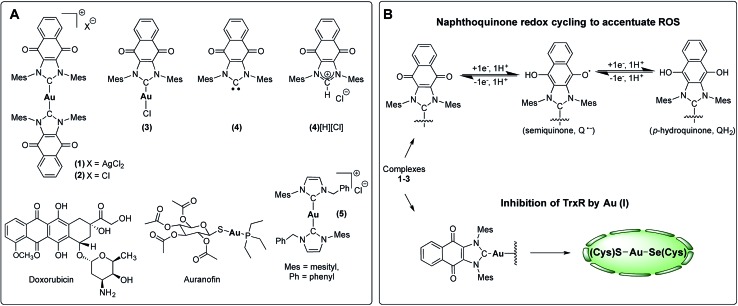 Fig. 3