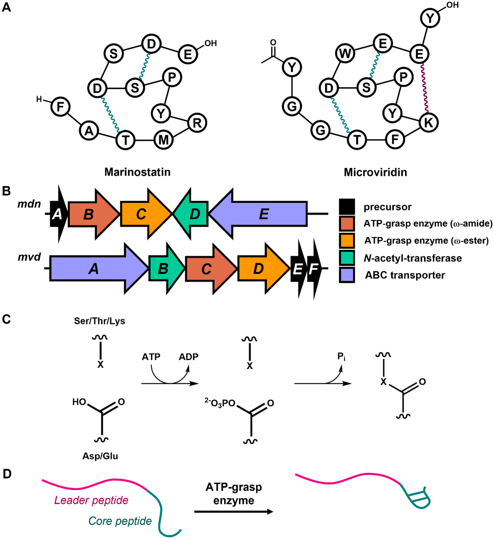 Figure 1: