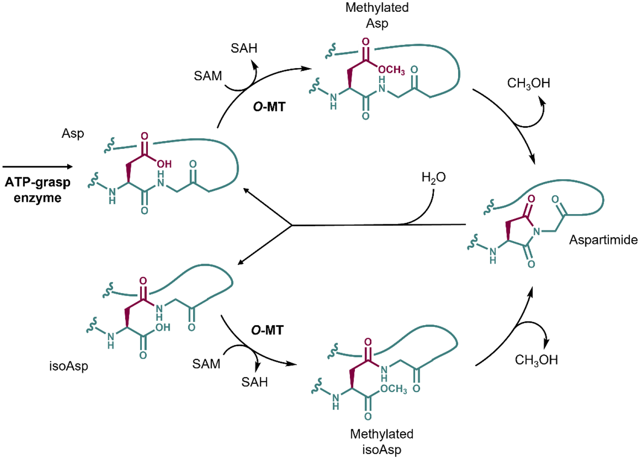 Figure 5: