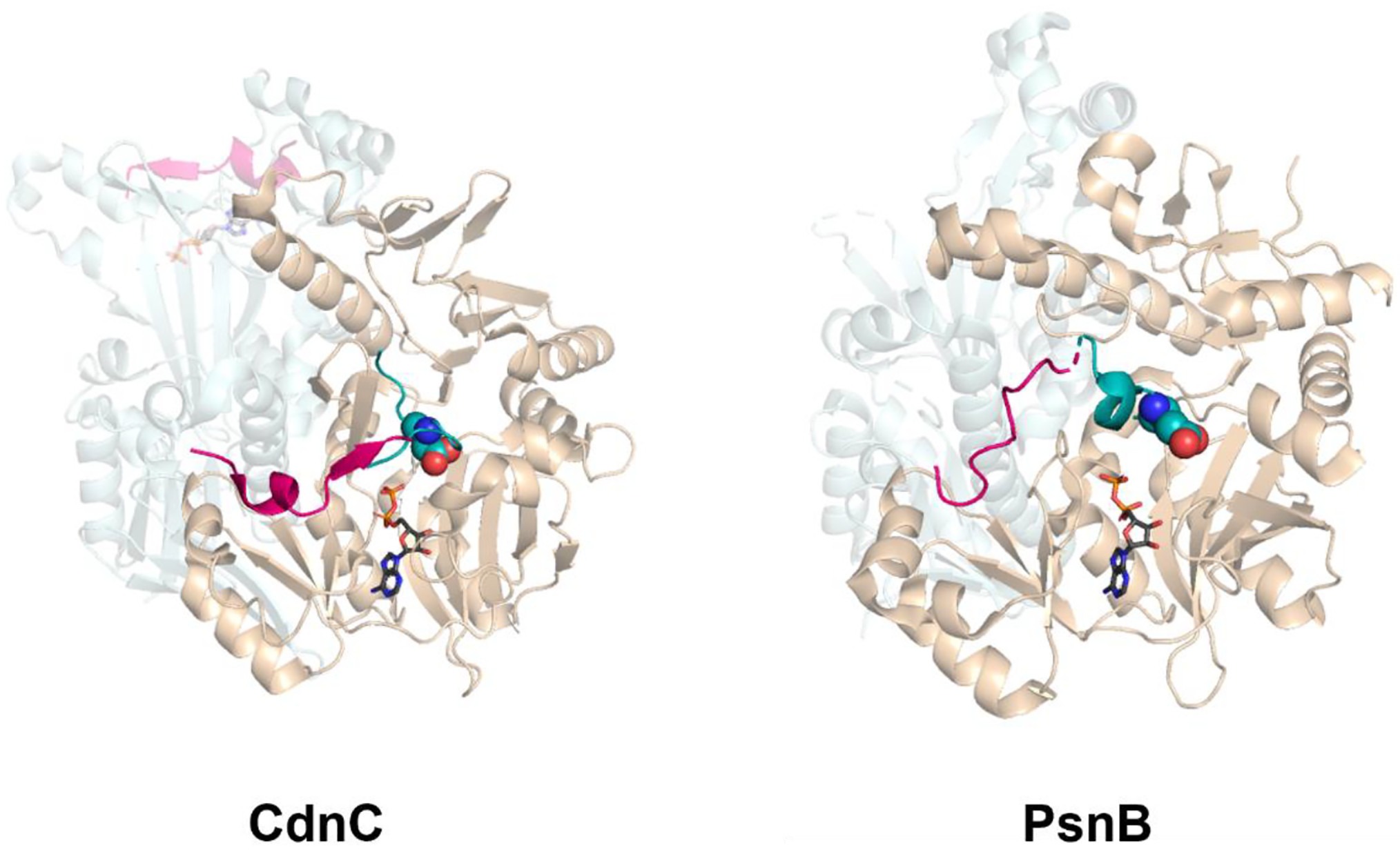 Figure 2: