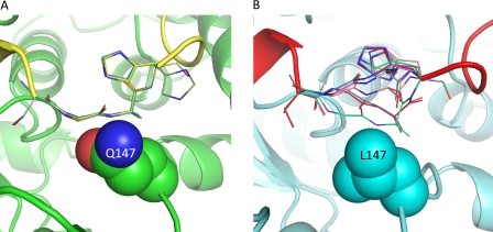 FIGURE 7.