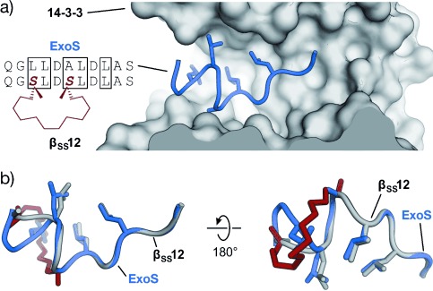 Figure 20