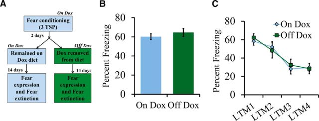 Figure 7.