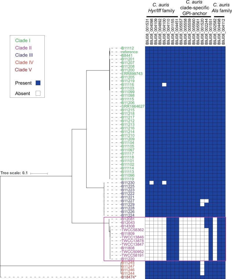 Figure 6