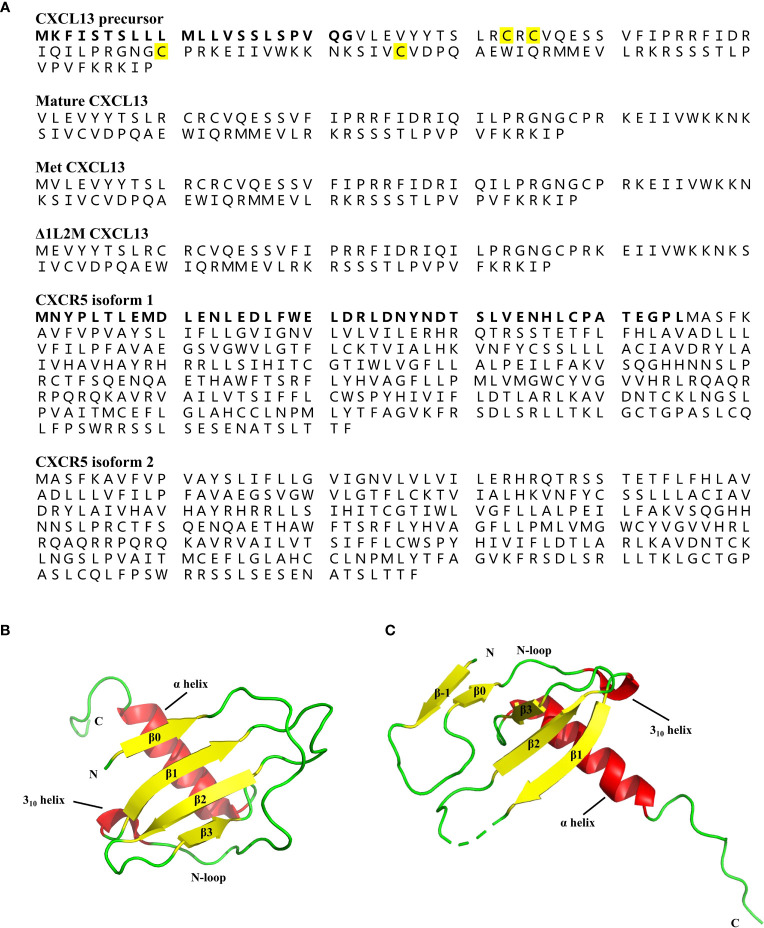 Figure 3