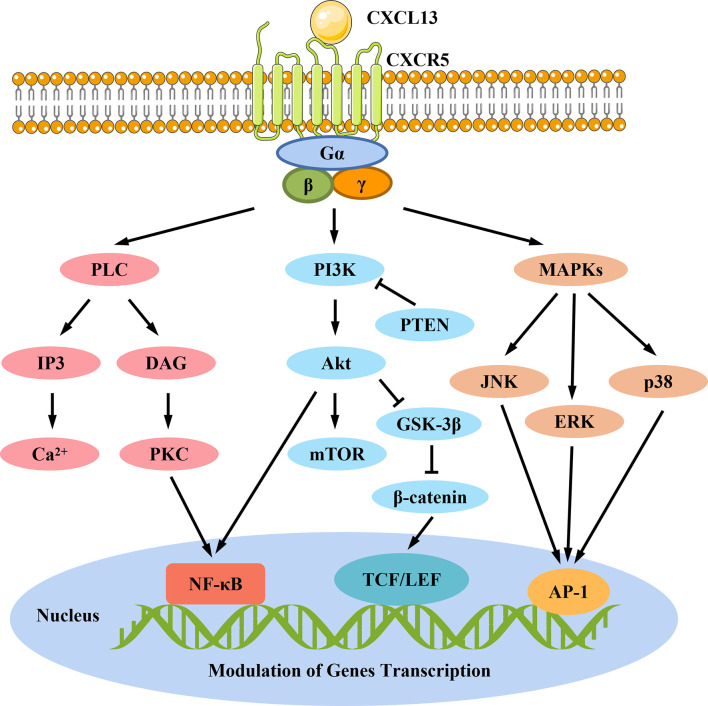 Figure 4