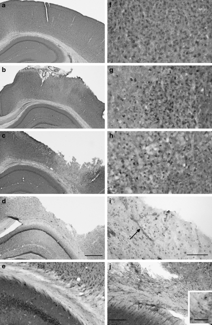 FIG. 8.