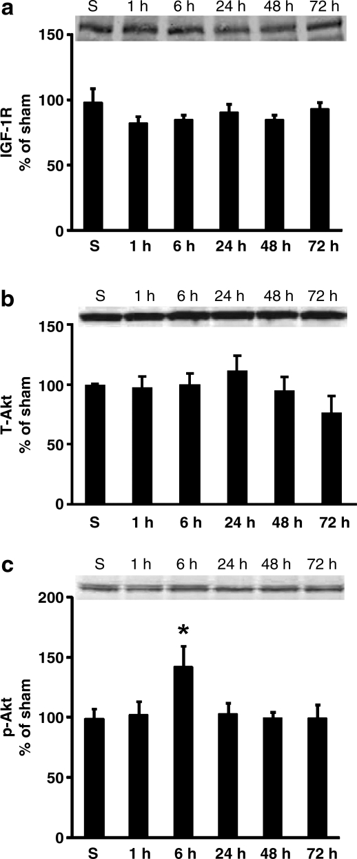 FIG. 9.