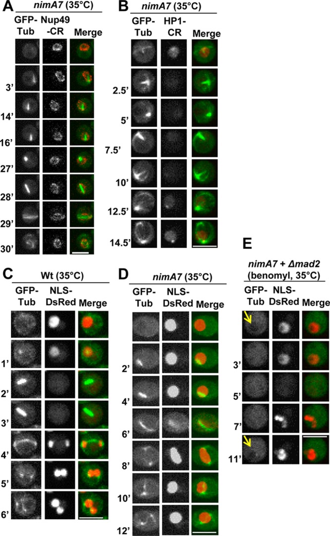 FIG 4