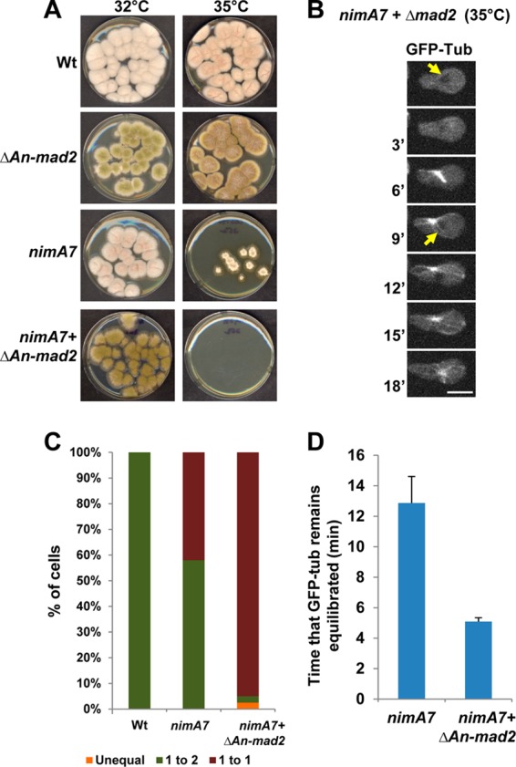 FIG 6