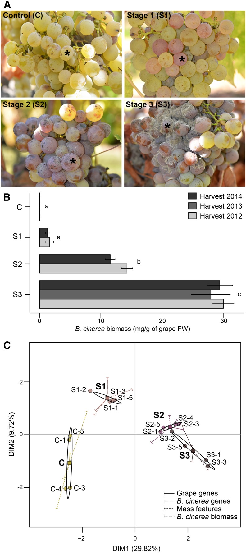 Figure 1.