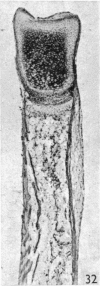 348-3