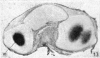 348-2