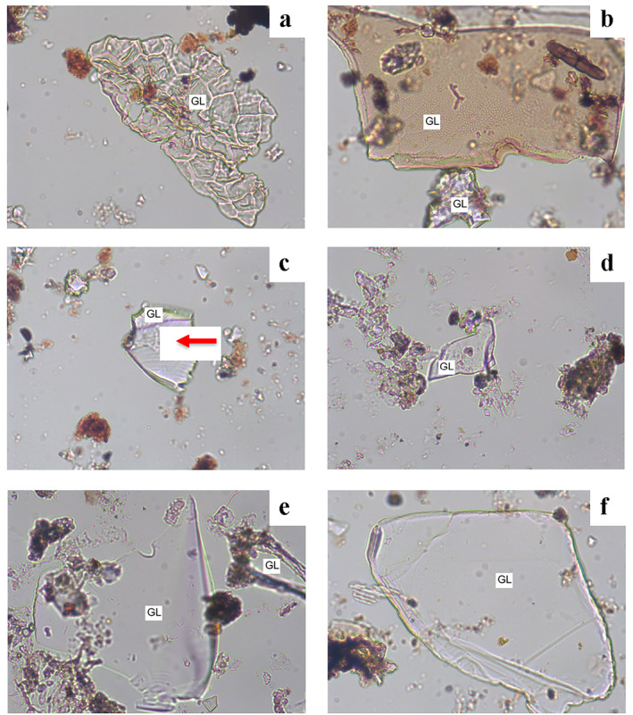 Figure 5