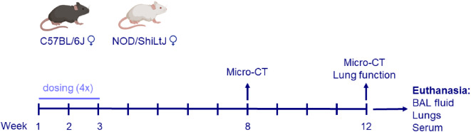 Fig. 8