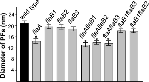 FIG. 6.