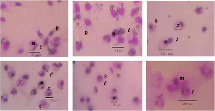 Fig. 11