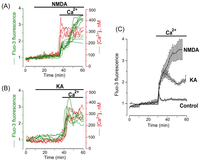 Fig. 2