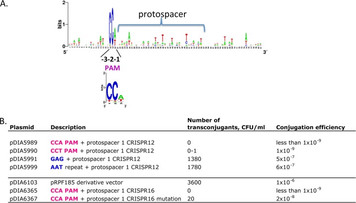 FIG 6 