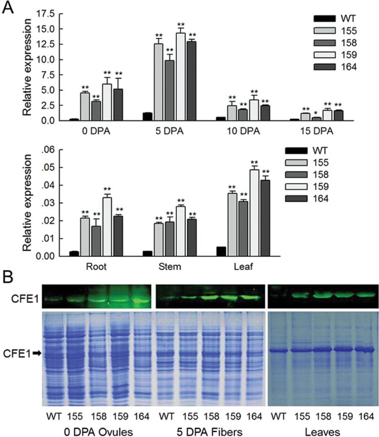 Fig. 4.