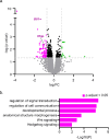 Figure 6: