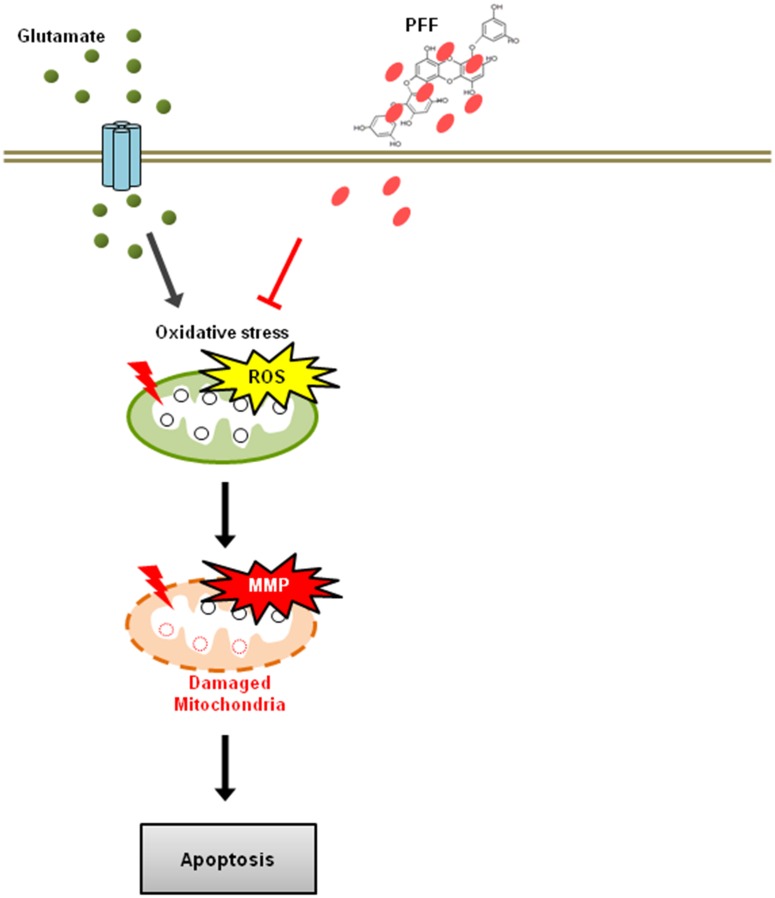 Fig 7