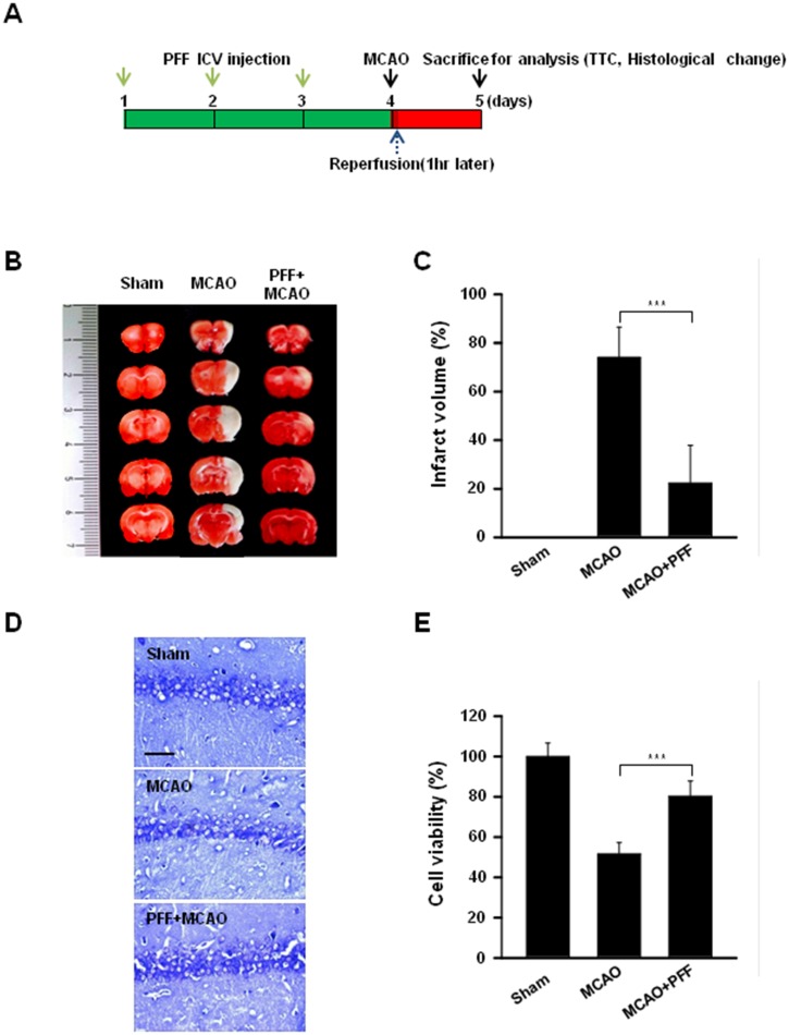 Fig 6