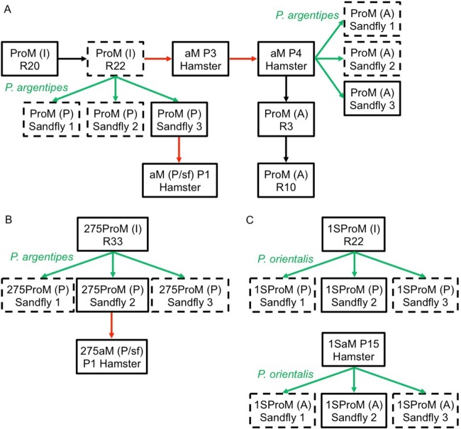 FIG 1 