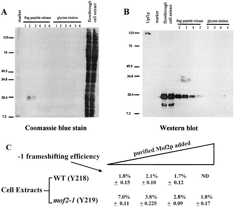 FIG. 5