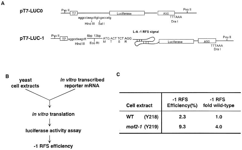 FIG. 4