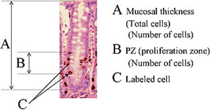 Fig. 3