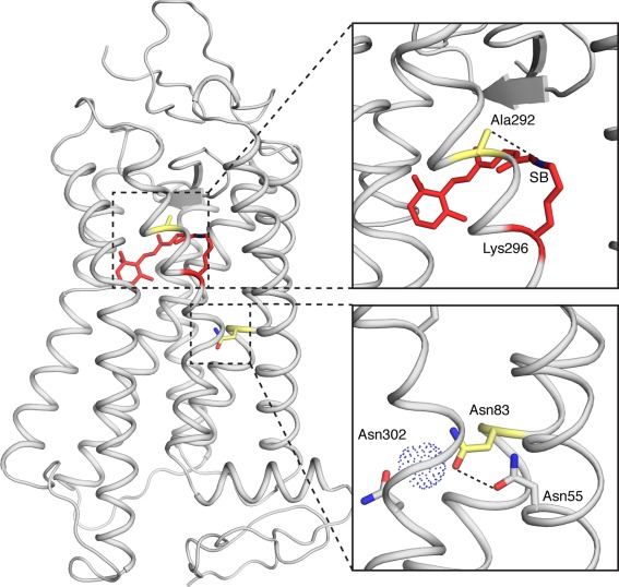 Figure 5