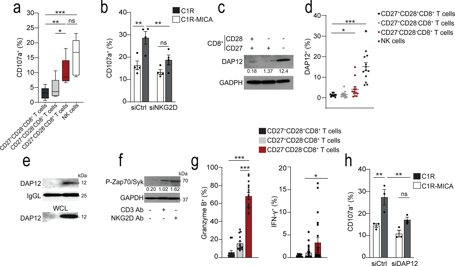 Fig. 4: