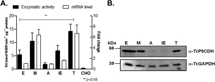 FIGURE 10.