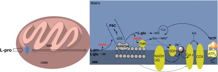 FIGURE 12.